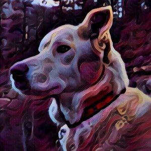 Meet your Posher, Bryan